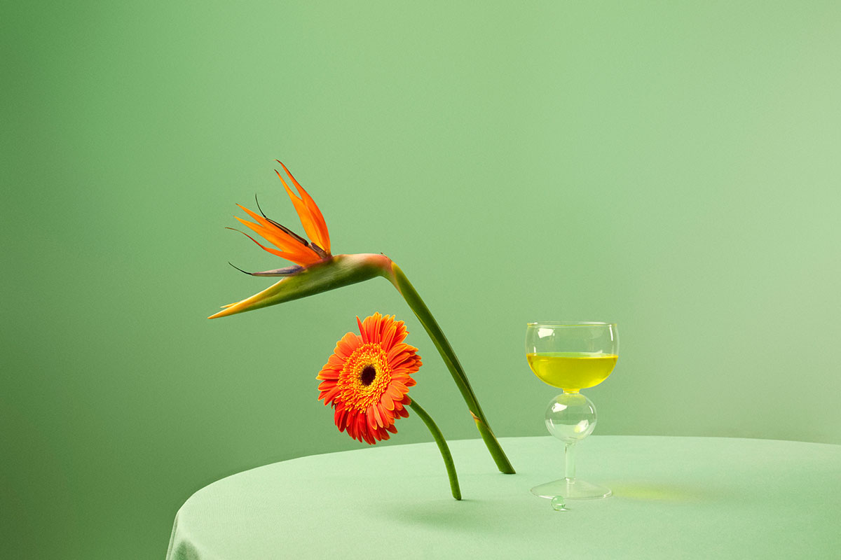 Flowers - Still life photography realizada por la fotógrafa Tessa Dóniga junto a Enri Mür Studio.